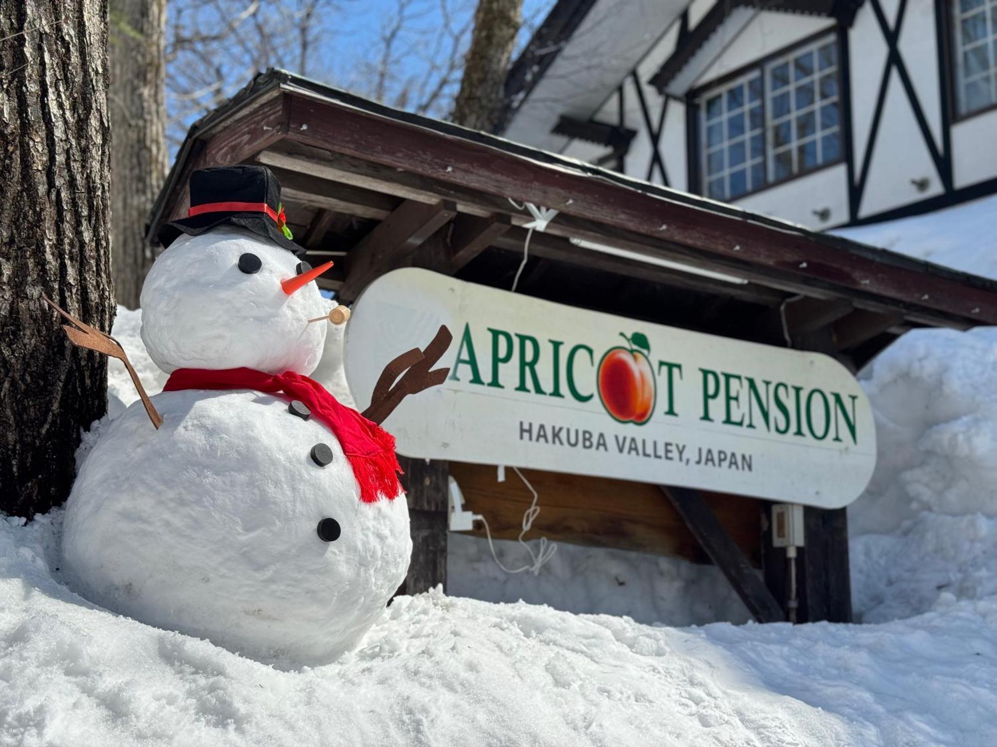 Apricot Pension 하쿠바 외부 사진